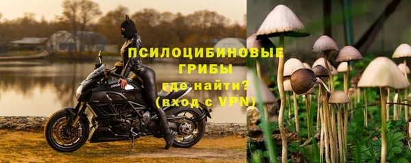 ГАЛЛЮЦИНОГЕННЫЕ ГРИБЫ Баксан