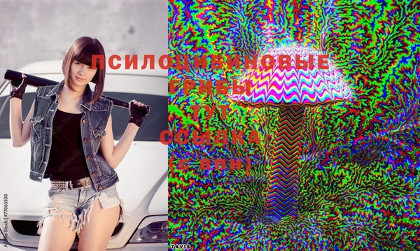 ГАЛЛЮЦИНОГЕННЫЕ ГРИБЫ Баксан