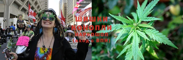 стаф Белоозёрский